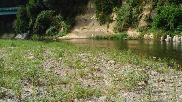 鮎釣り 荒川 箒川 おっさんの毎日が日曜